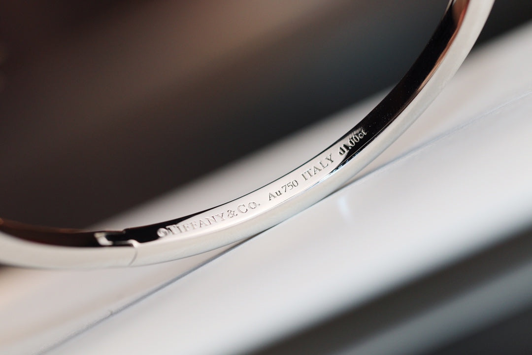 [Eterna Jewels]NARROW T1 HINGED BANGLE DIAMOND SILVER