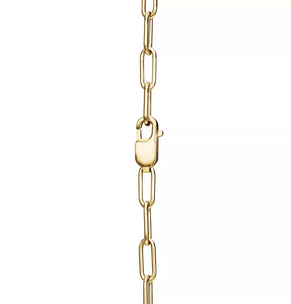[Eterna Jewels]LOCK NECKLACE GOLD