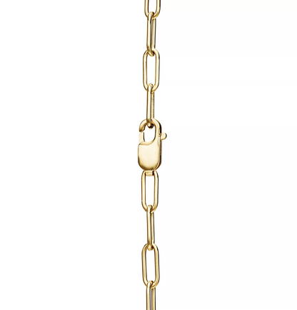 [Eterna Jewels]LOCK NECKLACE GOLD